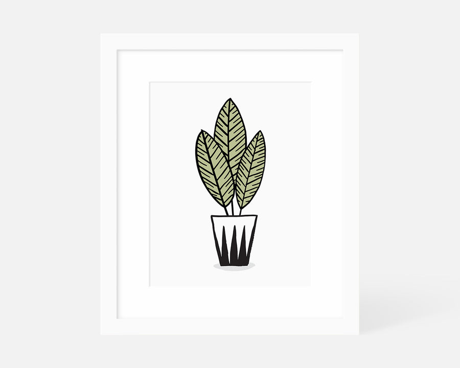 Zebra Plant Art Print
