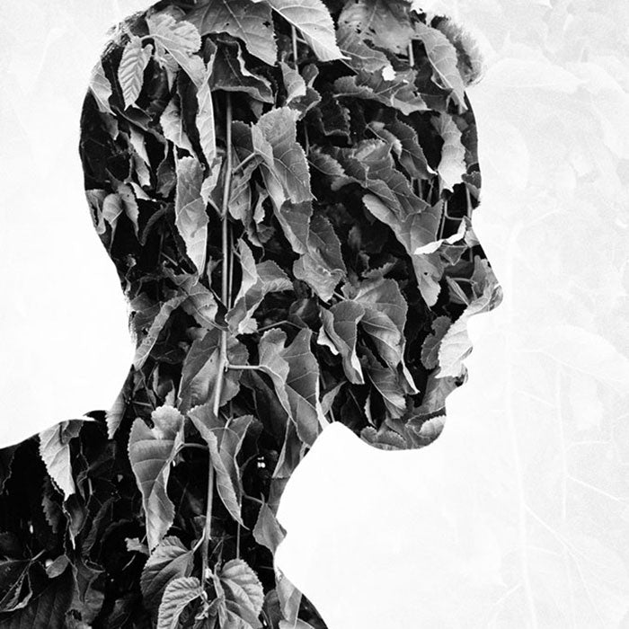 Multiple Exposures