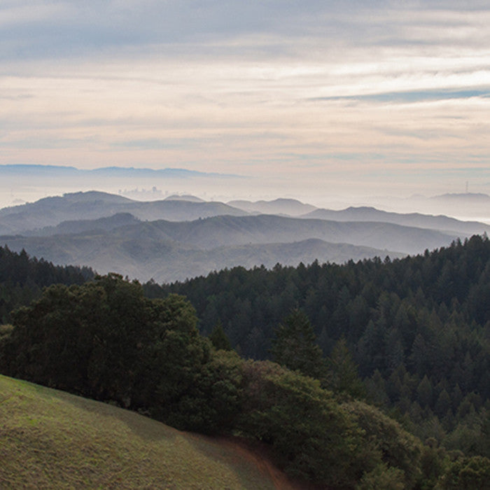 Through My Lens: Mount Tamalpais