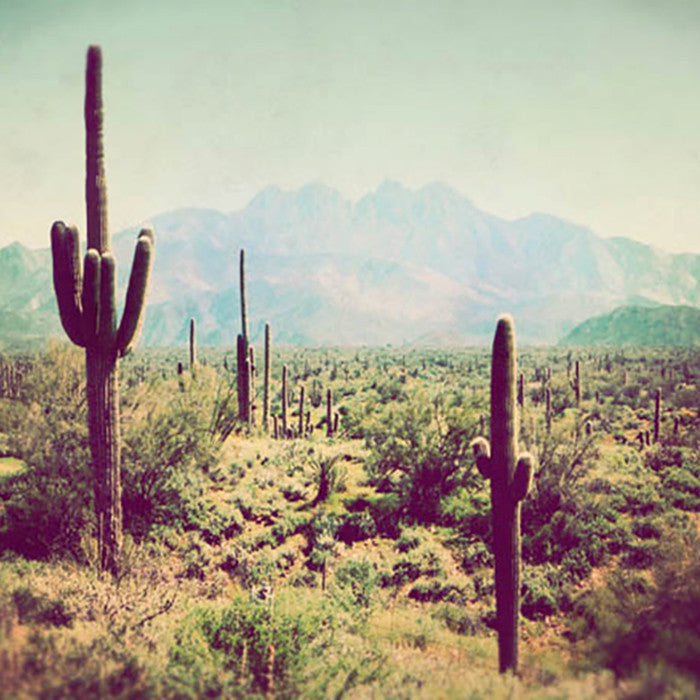 Inspired By: The Desert