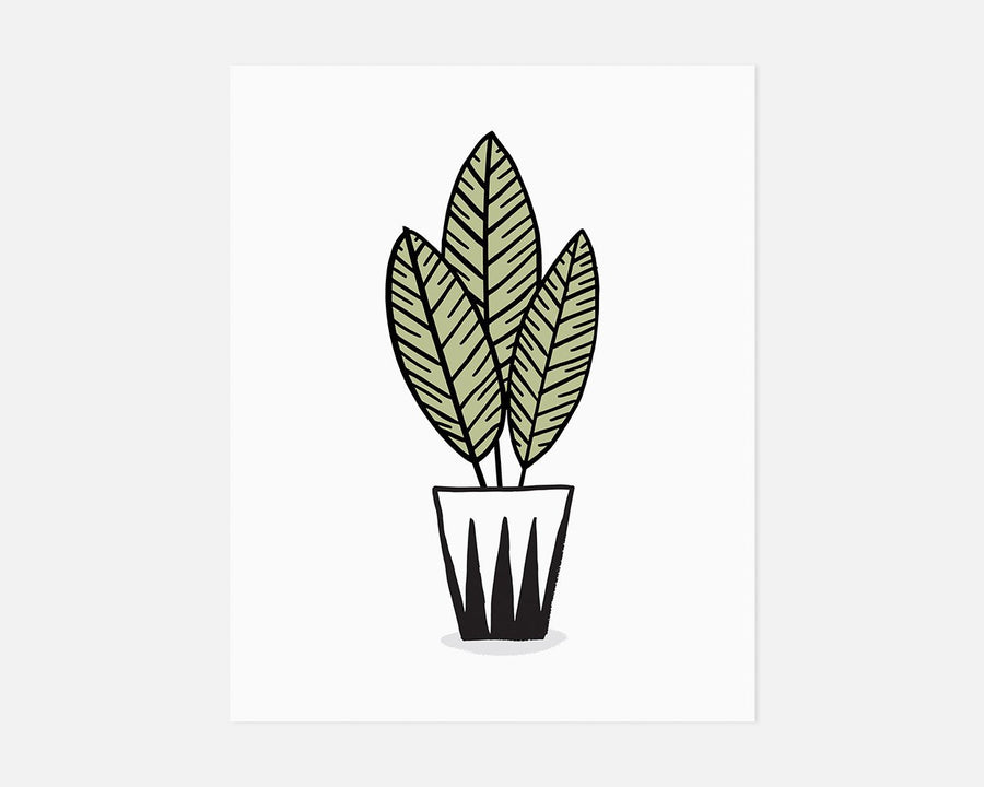 Zebra Plant Art Print