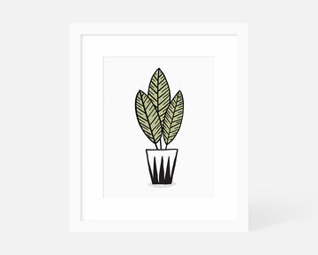 Zebra Plant Art Print